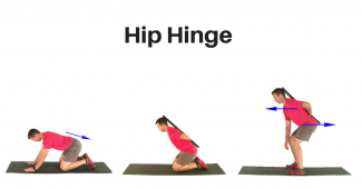 Hip Hinge cvik - článok od MEAL-EXPERT